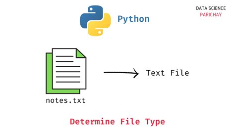 check file type in python