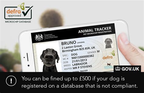 check my dog's microchip number