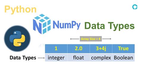 check numpy data type