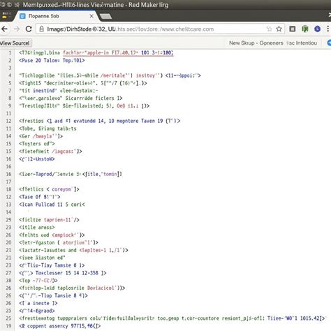 check source code of website mac