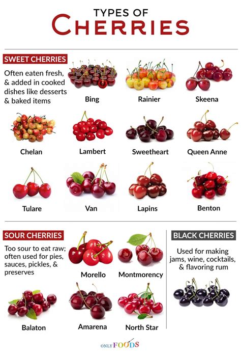 Cherry Variety Chart