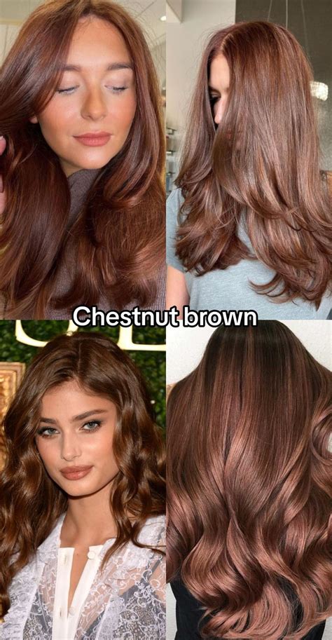 chestnut brown hair color hex code