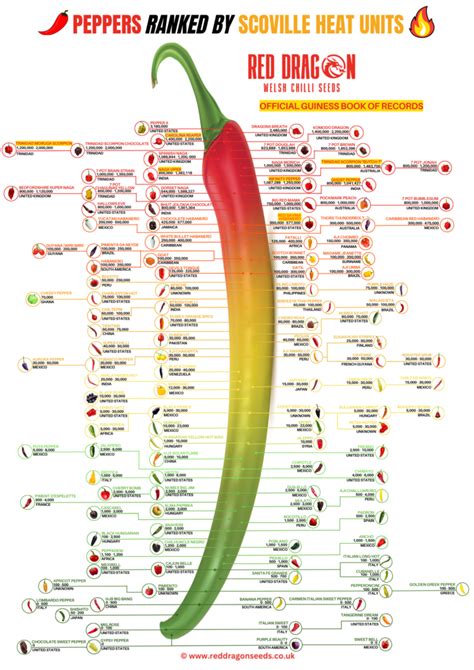 Chili Pepper Chart