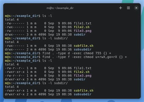 chmod 755 command example