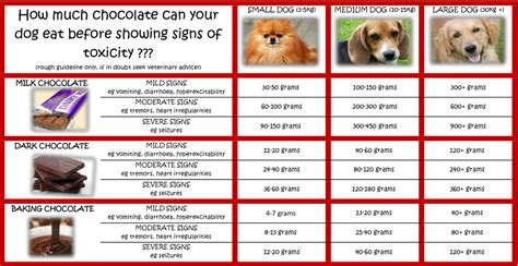 Chocolate Toxicity Chart Dogs