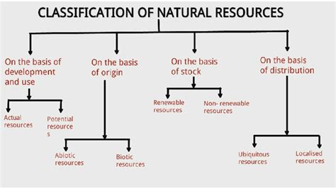 class 8 what is resource