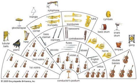 classical orchestra instruments list with pictures pdf
