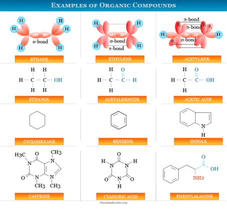 classification of organic compounds with examples of each type