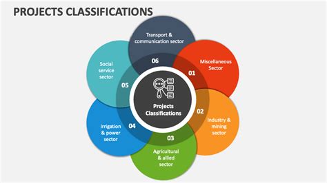 classification of projects in project management pdf