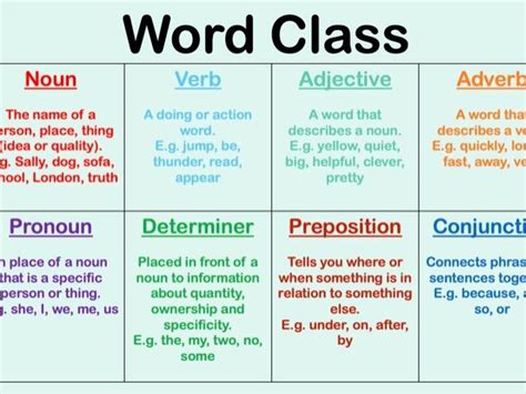 classification of words with examples