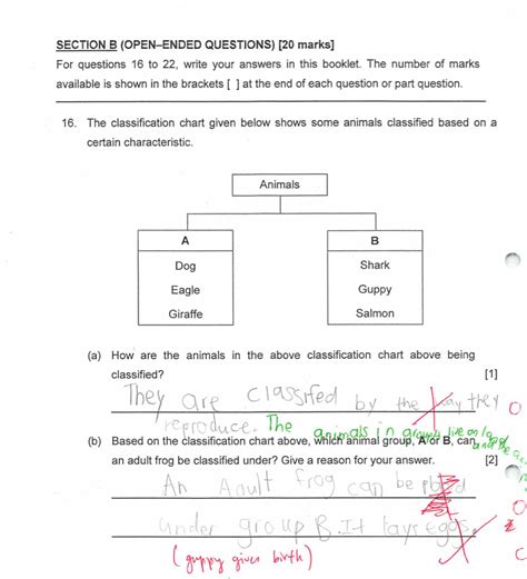 classification questions examples with answers