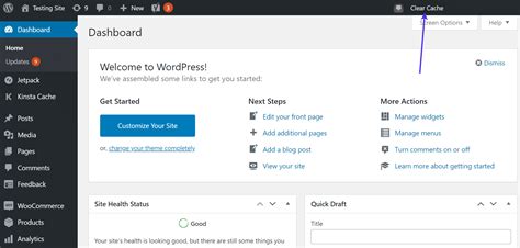 clear cache wordpress admin