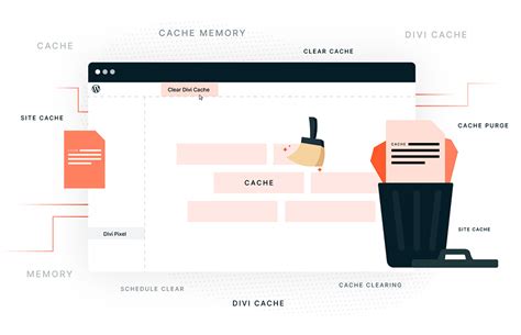 clear cache wordpress divi