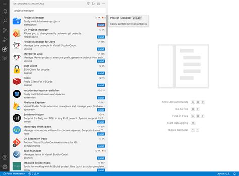 clear vscode extensions