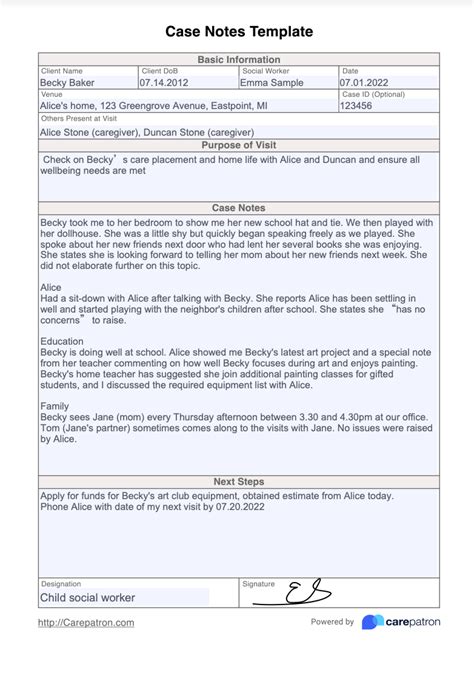 client case notes example