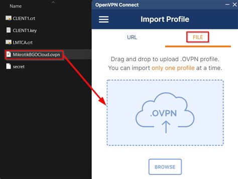 client conf openvpn example