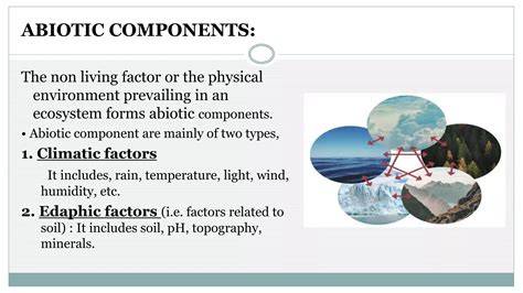 climate abiotic factor