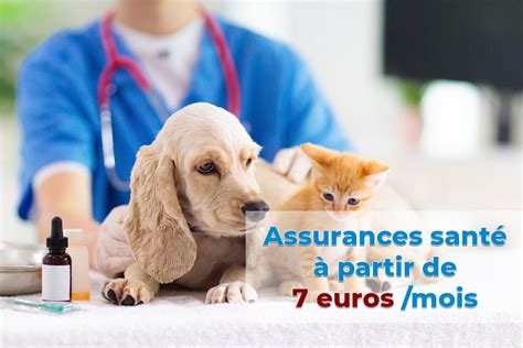 coût assurance animaux domestiques