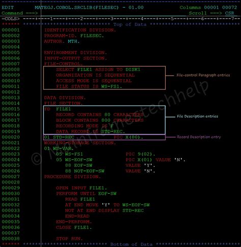 cobol file section example
