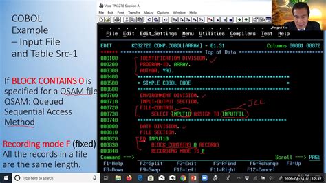 cobol read file example