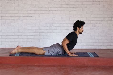 cobra pose explain