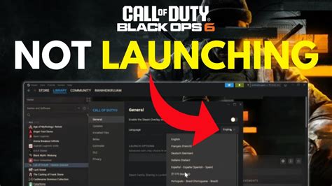 cod bo6 not launching on pc