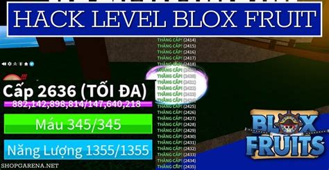 code blox fruit hack level