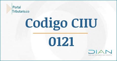 codigo 0121
