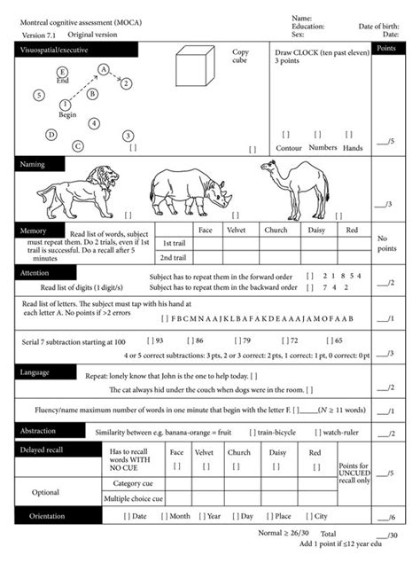 cognitive assessment examples pdf