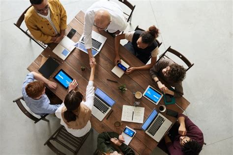 collab membangun networking