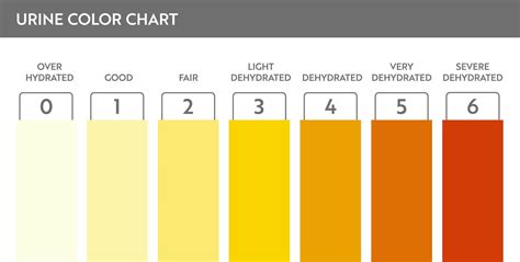 Colour Chart For Urine Test
