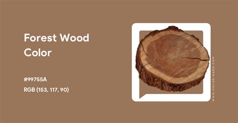 colour of wood hex code