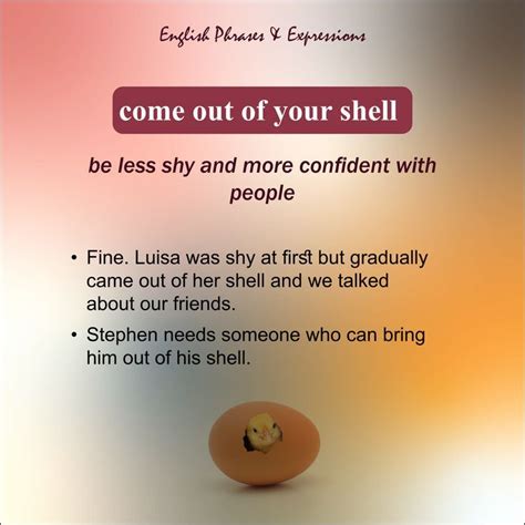 come out of someone's shell meaning