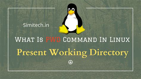 command to get current working directory in linux