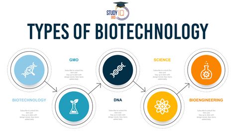 common examples of biotechnology