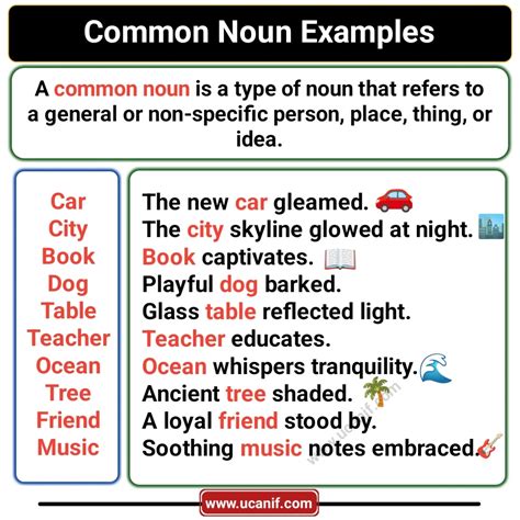 common noun examples for class 6