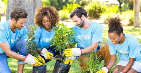 community volunteer work