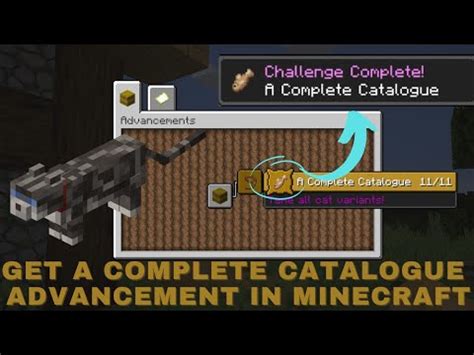 Complete Catalogue Minecraft
