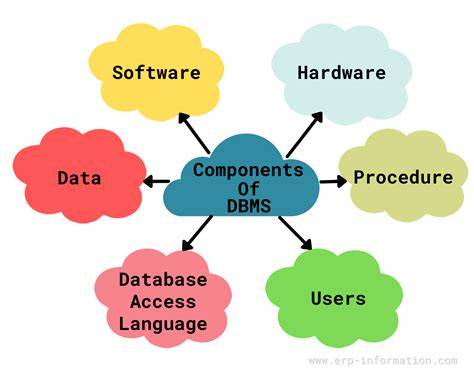 components of dbms