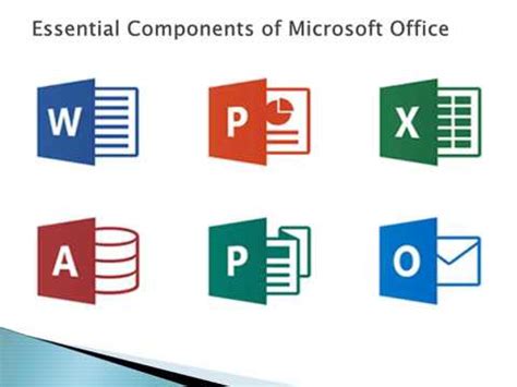 components of microsoft office suite