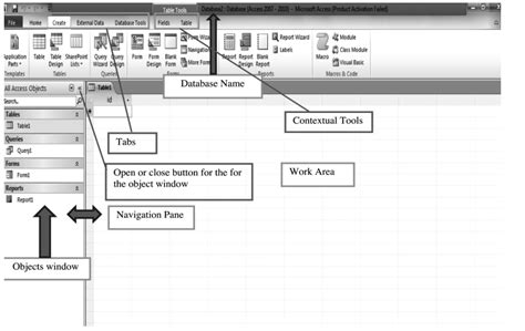 components of ms access database