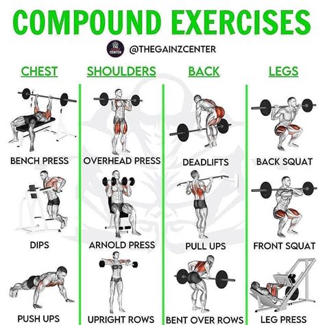 compound arm exercises female