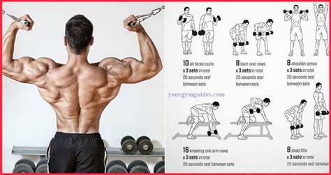 compound back and bicep exercises