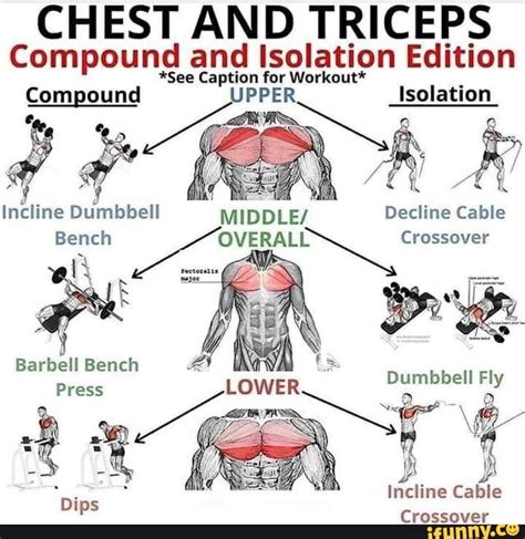 compound exercises for chest and triceps