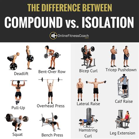 compound weight lifting exercises
