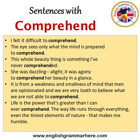 comprehend meaning in english with example