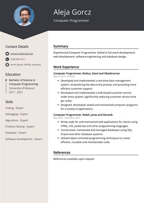 computer programmer cv example