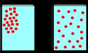 concentration gradient examples in real life