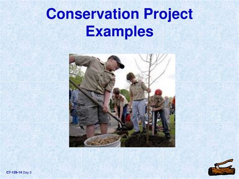 conservation projects examples