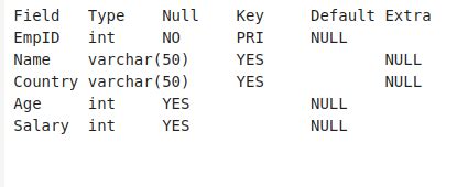 constraint not null password example
